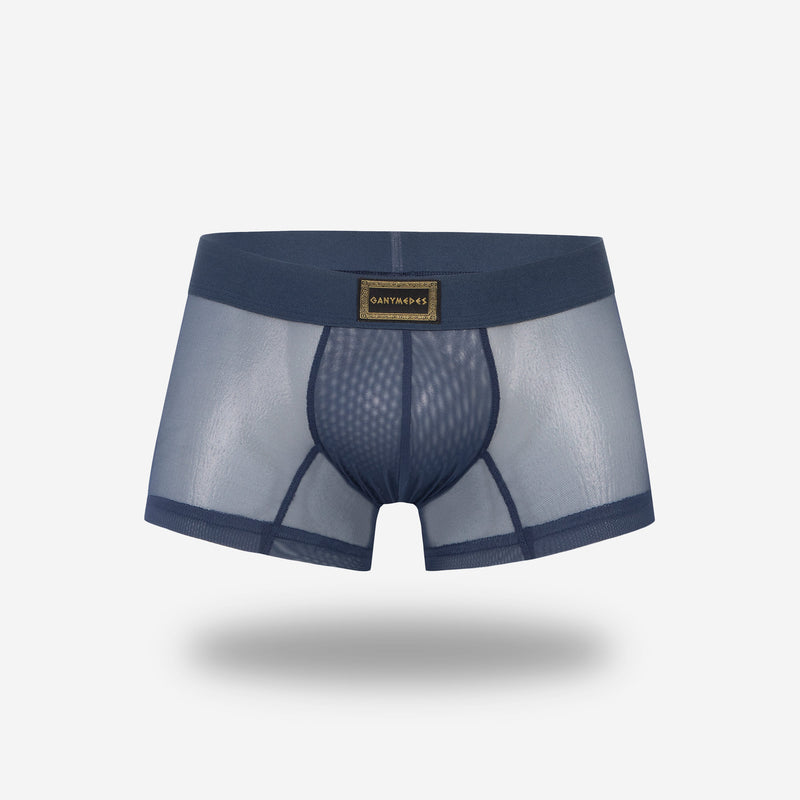 Mini Boxer Ganymedes Deseo