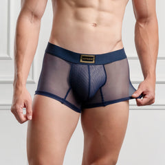 Mini Boxer Ganymedes Deseo