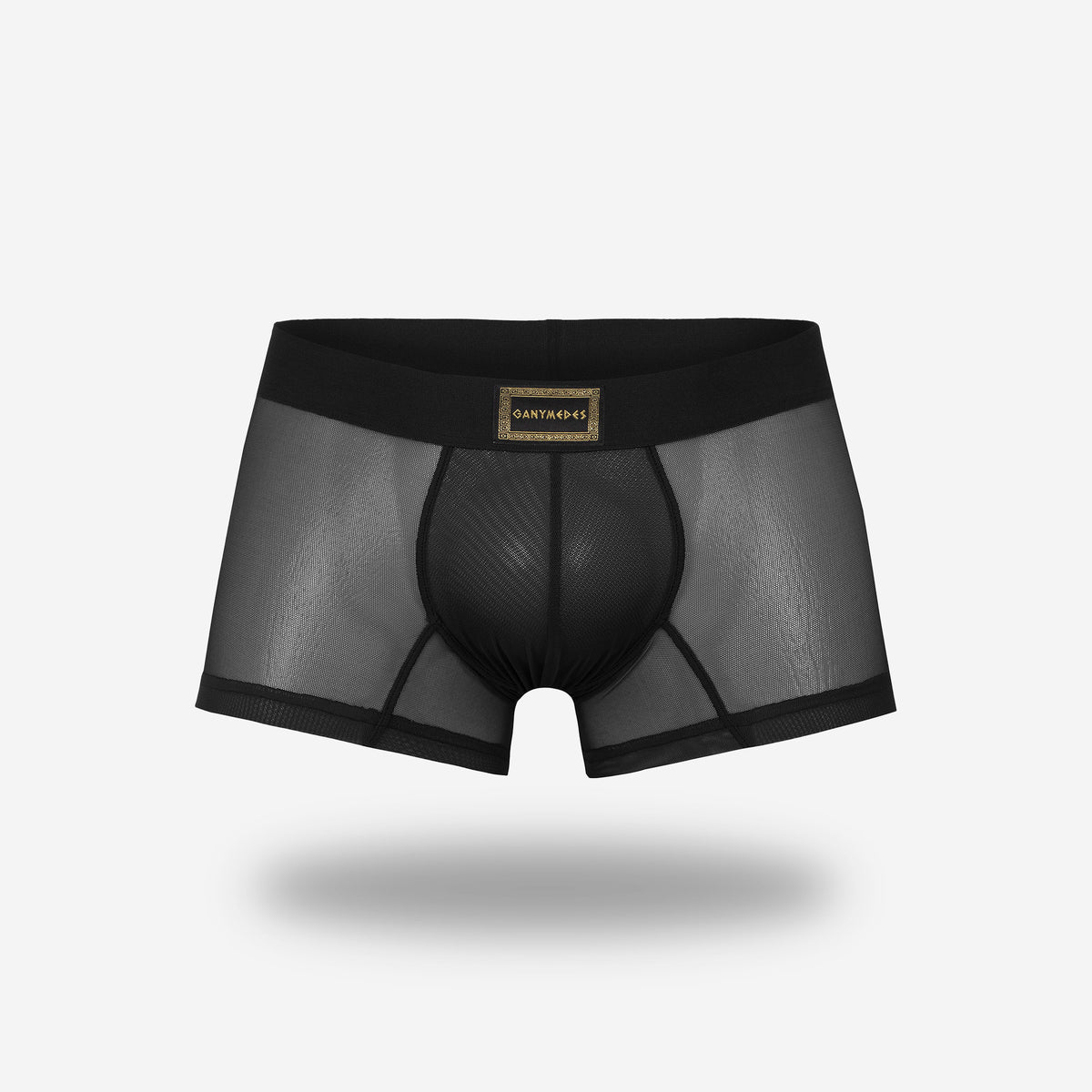Mini Boxer Ganymedes Deseo