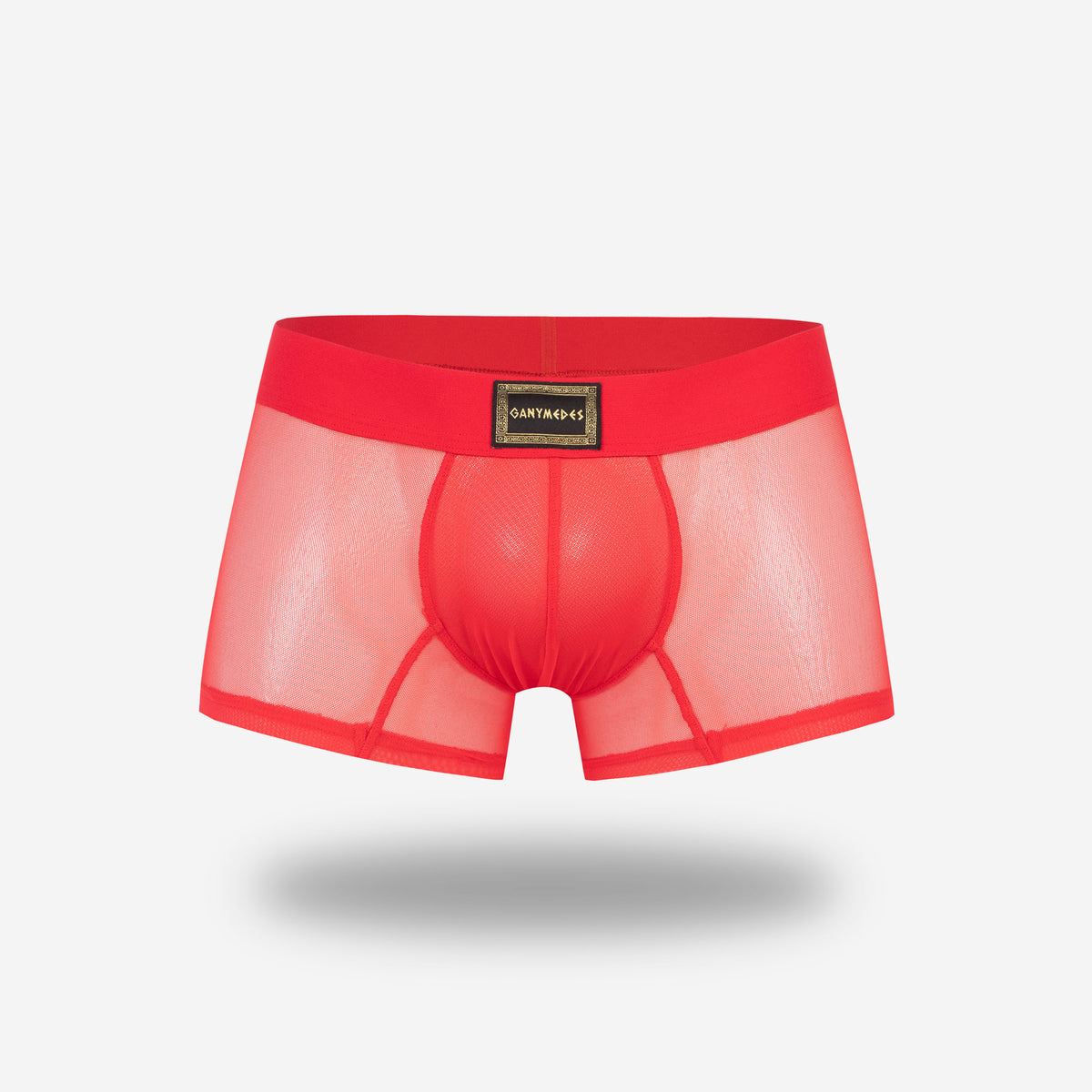 Mini Boxer Ganymedes Deseo