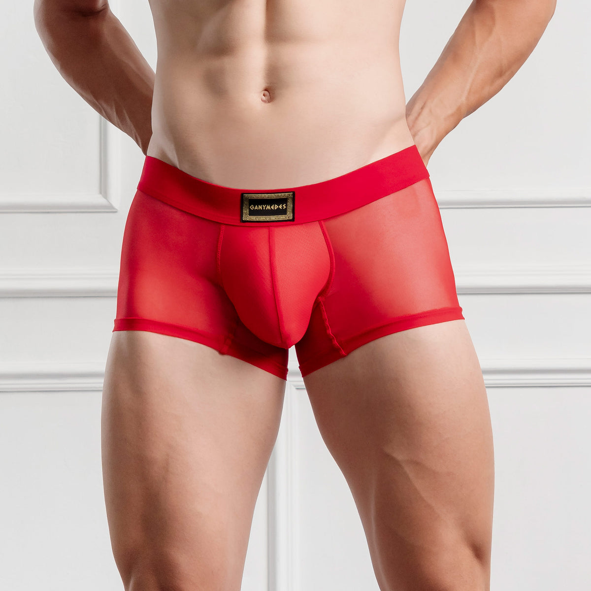 Mini Boxer Ganymedes Deseo