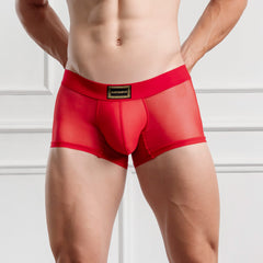 Mini Boxer Ganymedes Deseo