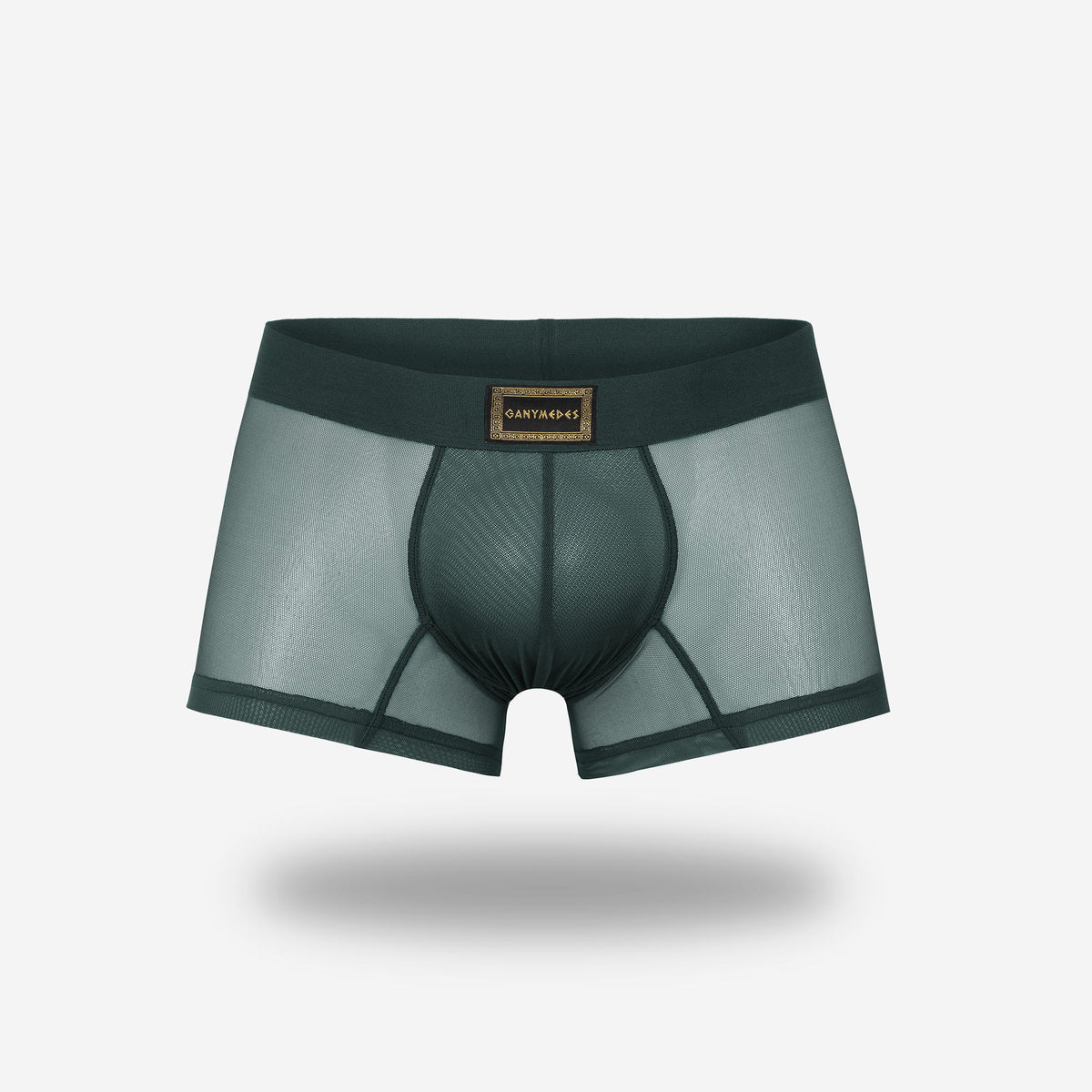 Mini Boxer Ganymedes Deseo