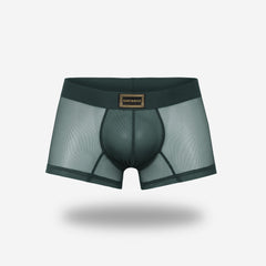 Mini Boxer Ganymedes Deseo