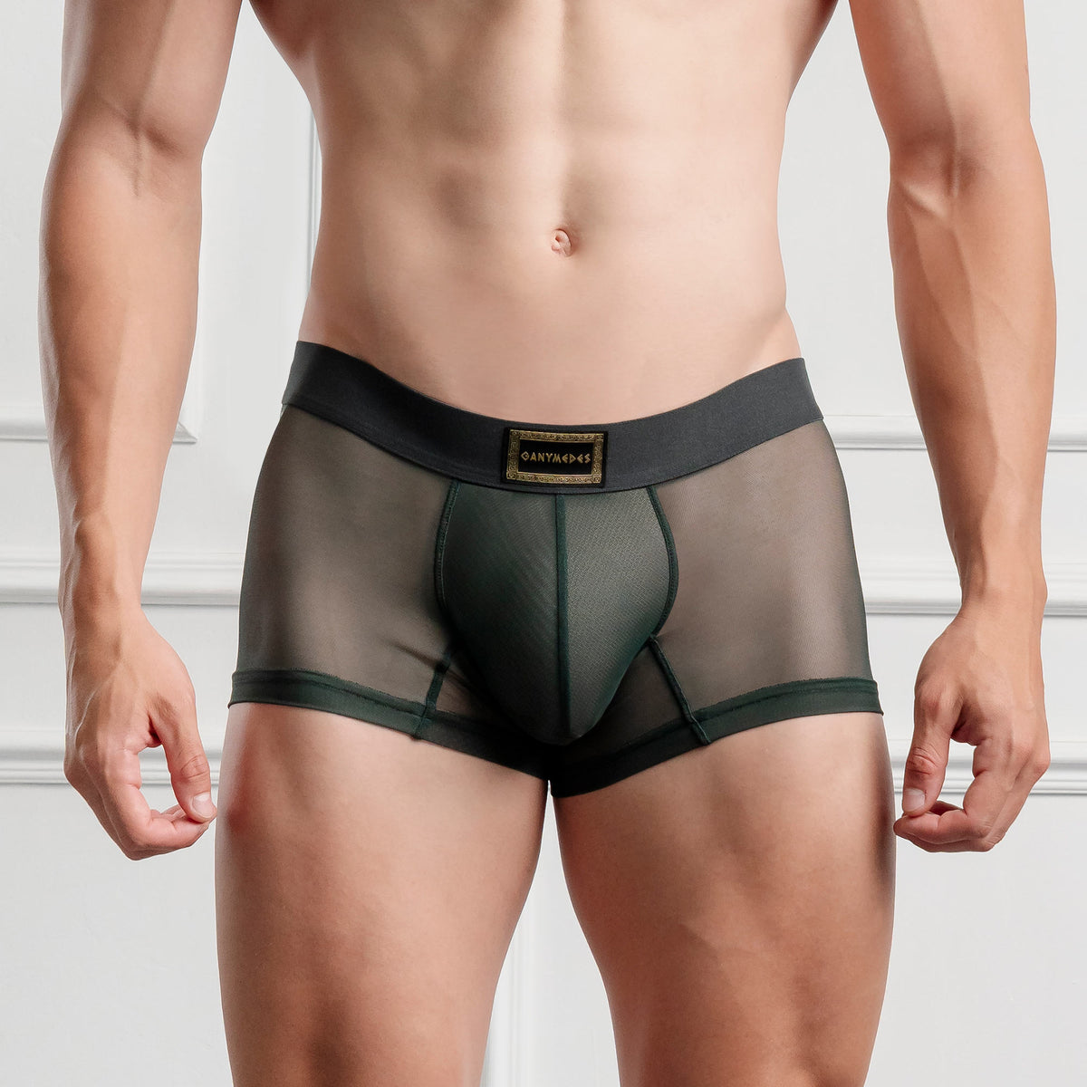 Mini Boxer Ganymedes Deseo
