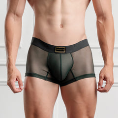 Mini Boxer Ganymedes Deseo