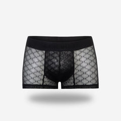Mini Boxer Ganymedes Desire