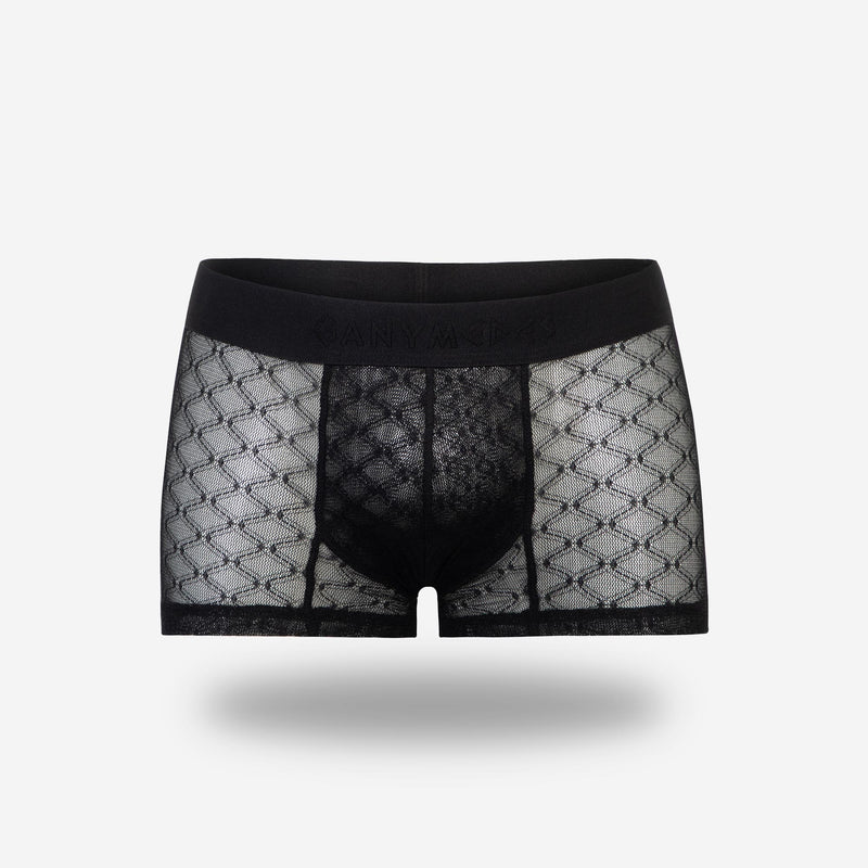 Mini Boxer Ganymedes Desire