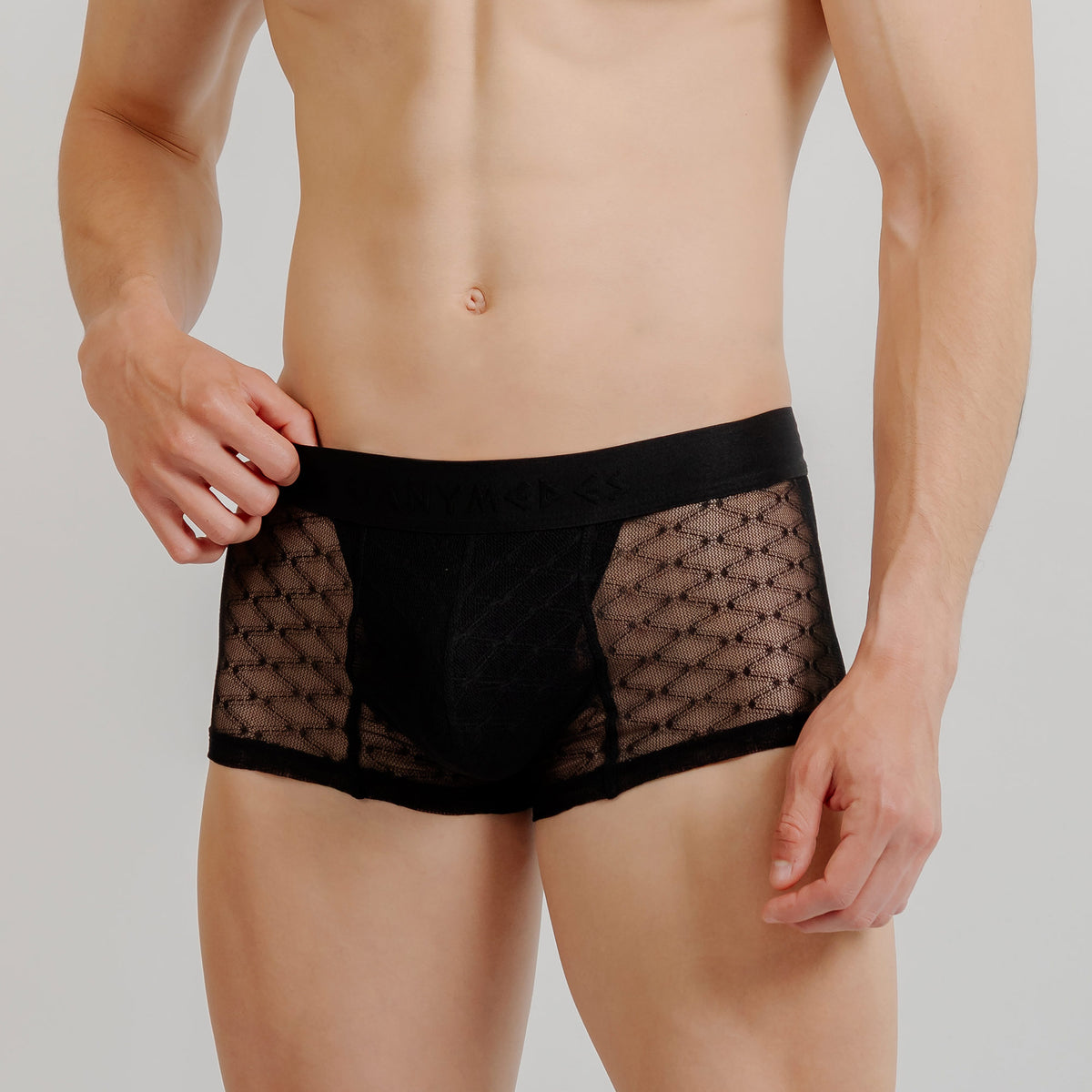 Mini Boxer Ganymedes Desire