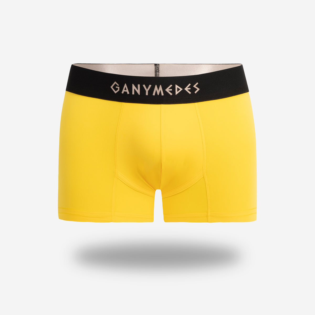Miniboxer Ganymedes Origen
