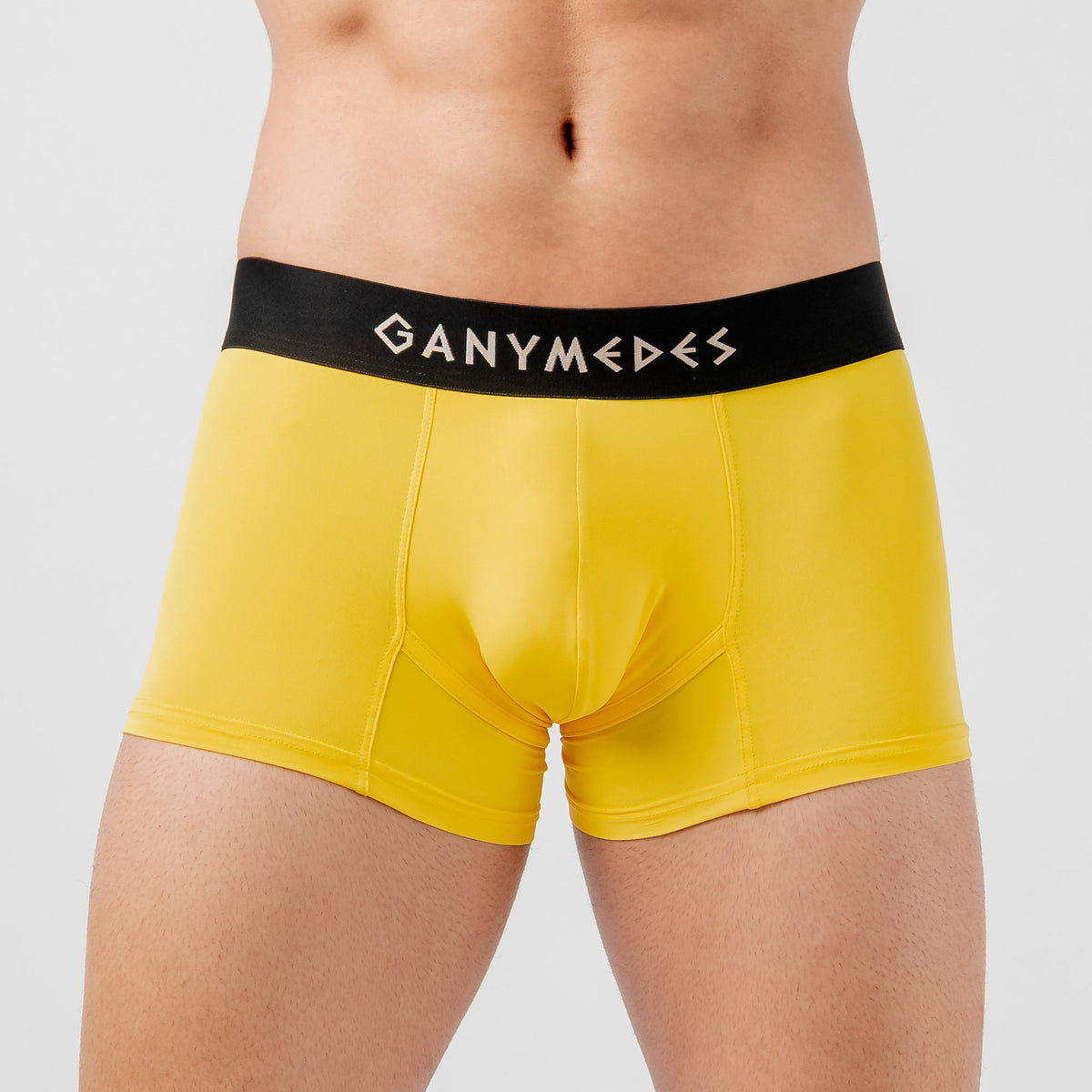 Miniboxer Ganymedes Origen