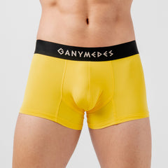 Miniboxer Ganymedes Origen
