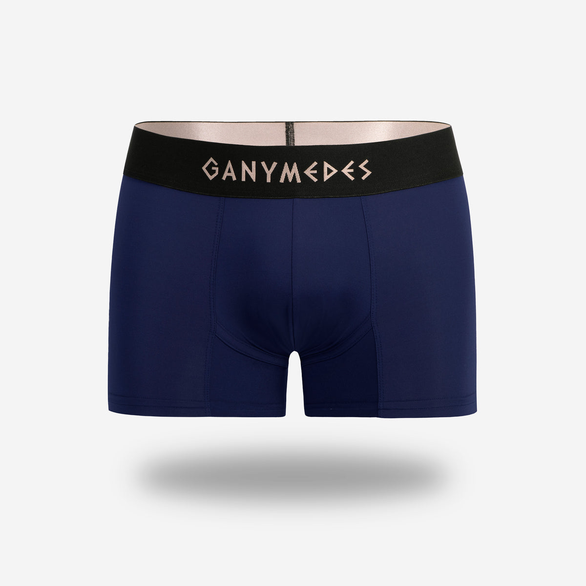 Miniboxer Ganymedes Origen
