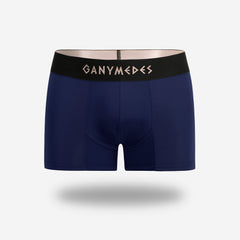 Miniboxer Ganymedes Origen
