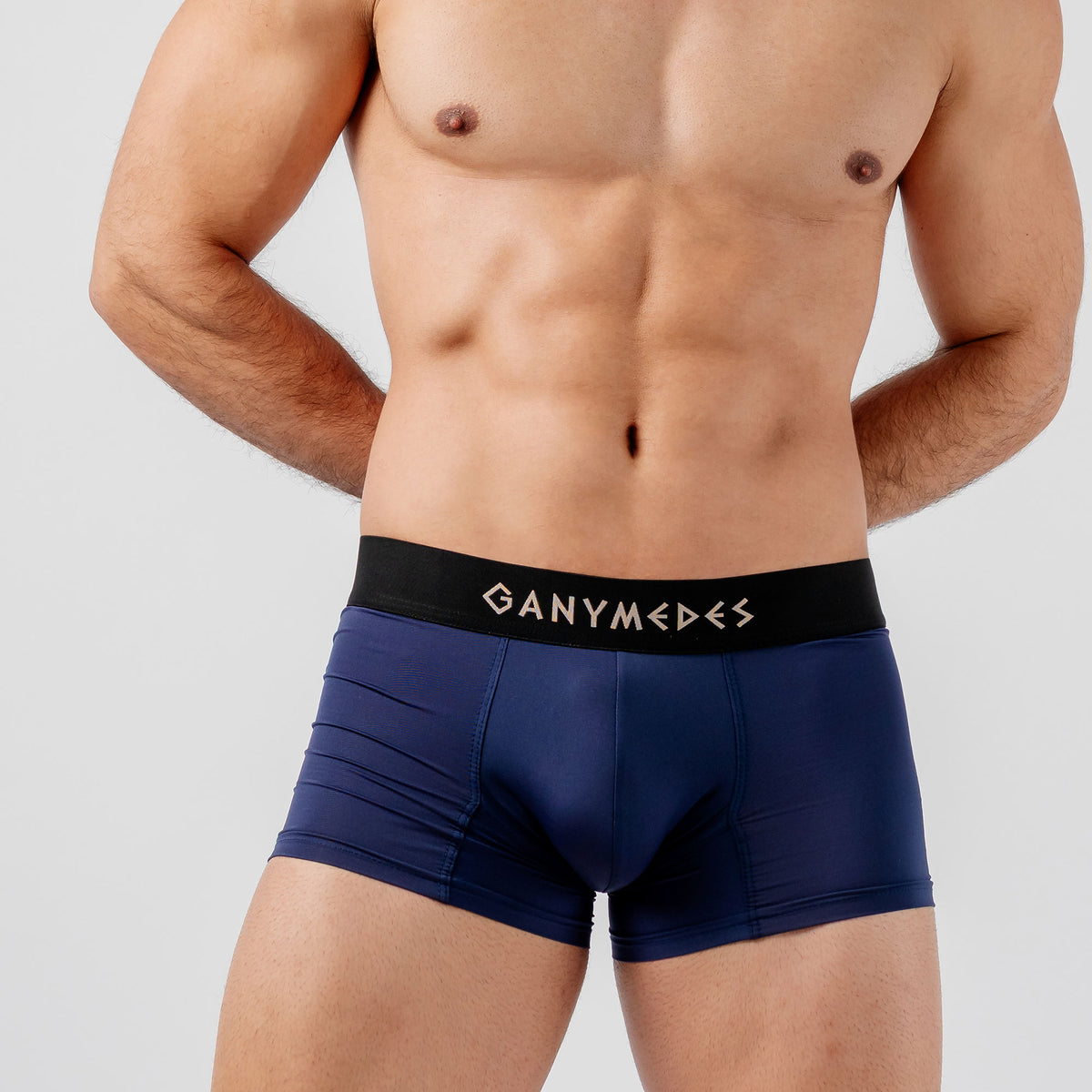 Miniboxer Ganymedes Origen