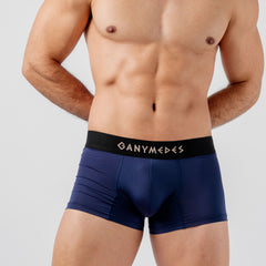 Miniboxer Ganymedes Origen