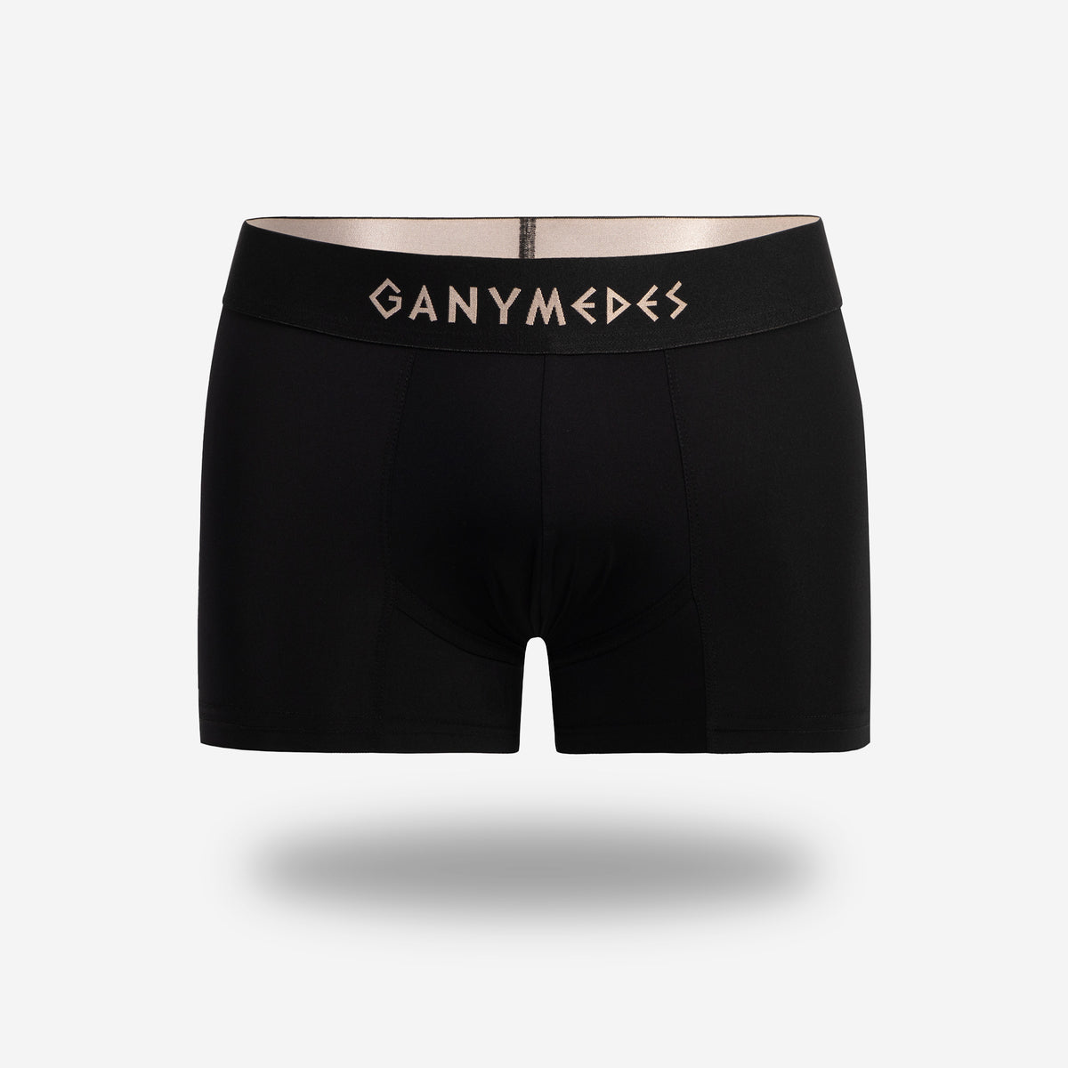 Miniboxer Ganymedes Origen