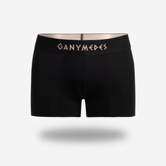 Miniboxer Ganymedes Origen