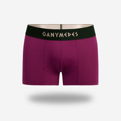 Miniboxer Ganymedes Origen