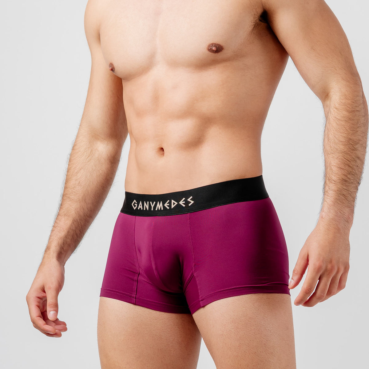 Miniboxer Ganymedes Origen